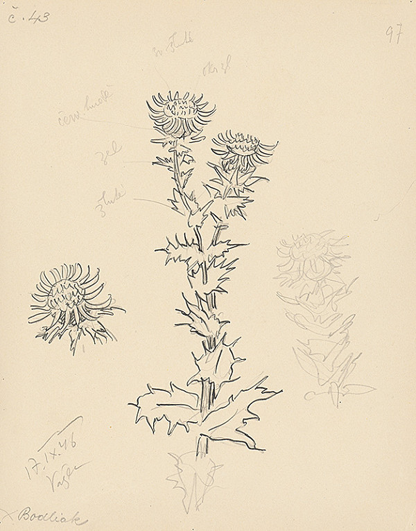 Jan Hála – Thistle 