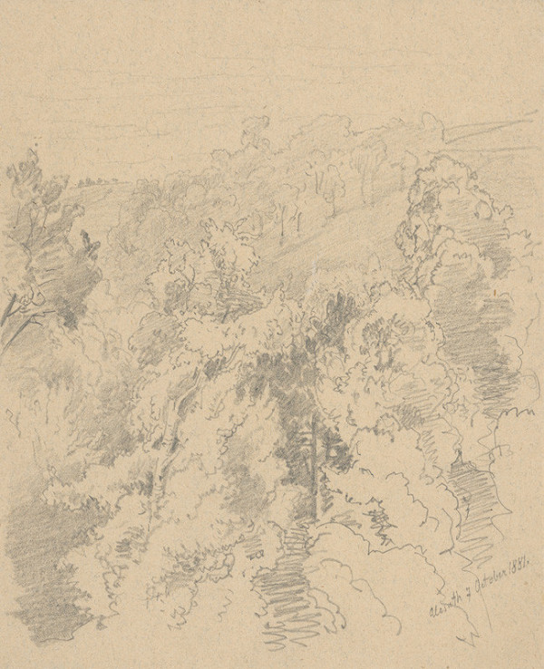 Jan Novopacký – Stráň s listnatými stromami 