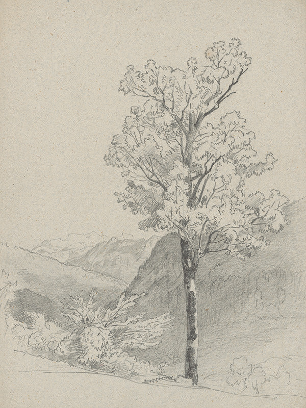 Jan Novopacký – Horská krajina v popredí s listnatým stromom 