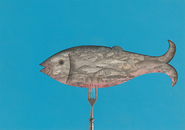 Michal Studený – Ryba 