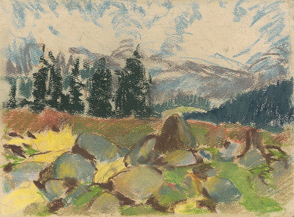 Zolo Palugyay – Letný deň na skalnatom lesnom rúbanisku 