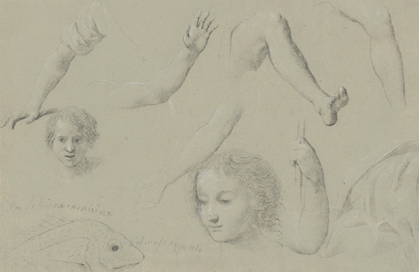 Taliansky maliar z 18. storočia – Štúdie hláv, rúk a nôh 