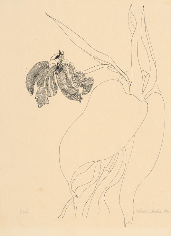 Anna Goliašová-Drobná – Kvet II. 