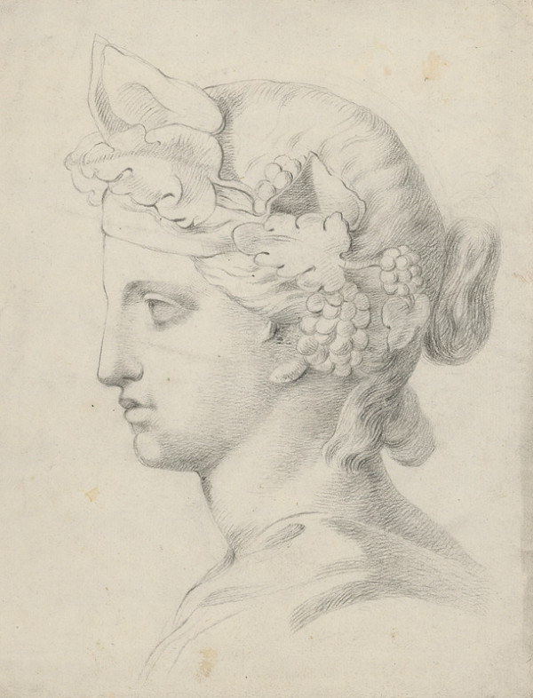 Autor z 2. polovice 19. storočia – Štúdia hlavy podľa sadrového modelu 