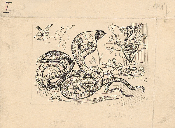 Arnold Peter Weisz-Kubínčan – Príbehy v divočine - 4 