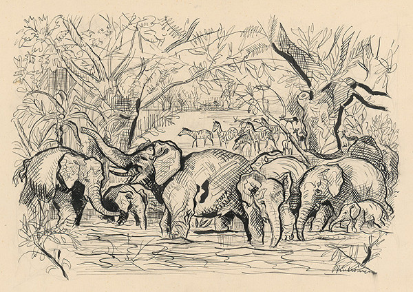 Arnold Peter Weisz-Kubínčan – Príbehy v divočine - 9 