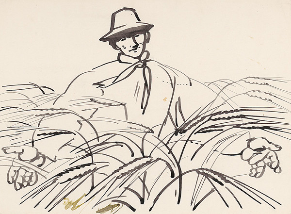 Štefan Cpin – In the Field 