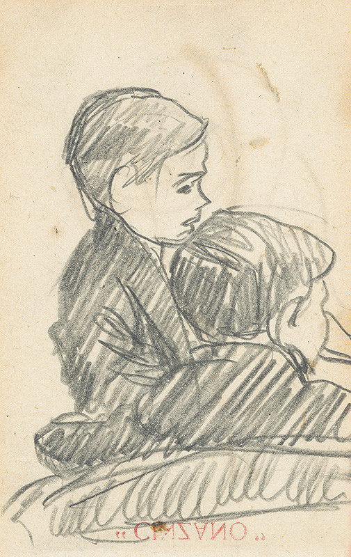 Ivan Žabota – Sediaci chlapci 