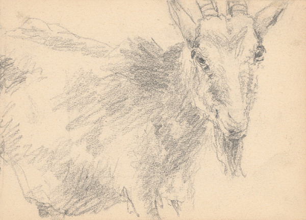 Ivan Žabota – Koza 