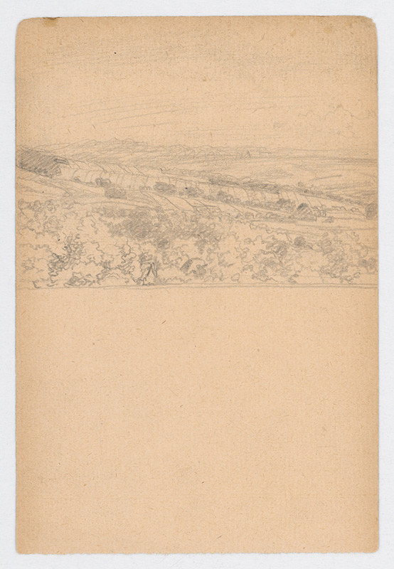 Ivan Žabota – Fields 