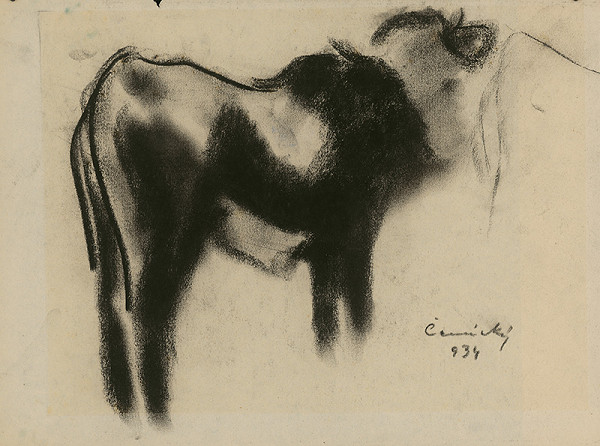 Ladislav Čemický – Štúdia býčka 