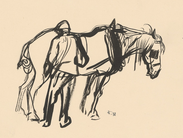 Jaroslav Vodrážka – Cleaning Horse 