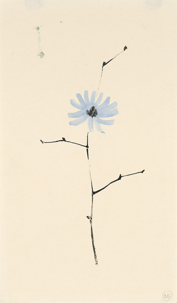 Viera Kraicová – Čakanka - 14. 