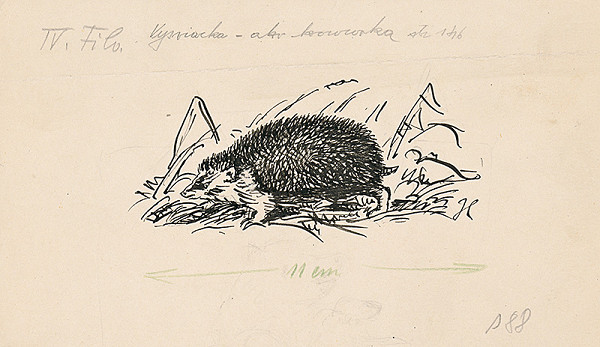 Jan Hála – 3. - Vysviacka 2. 