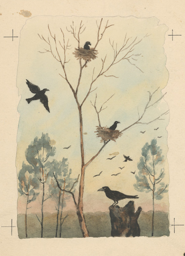 Andrej Kováčik – Vrana 