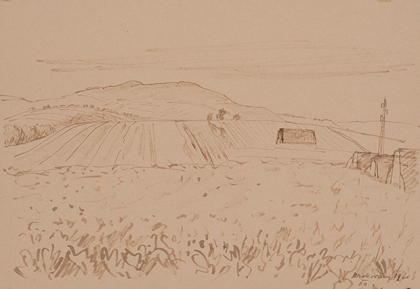 Matilda Čechová – Krakovany - polia 