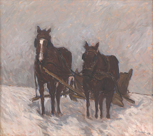 Jozef Kollár – Kone v zime