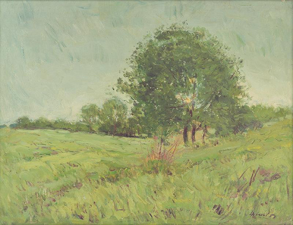 Alexander Szabó – Po daždi 