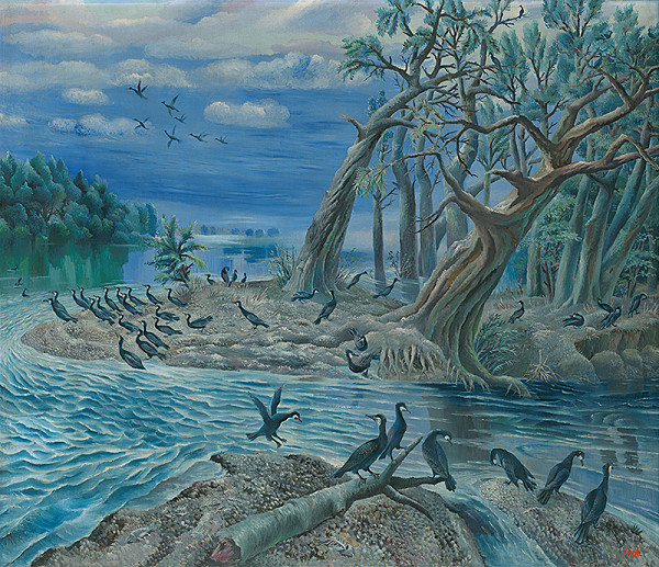 Štefan Prohászka-Tallós – Ostrov Kormoránov 