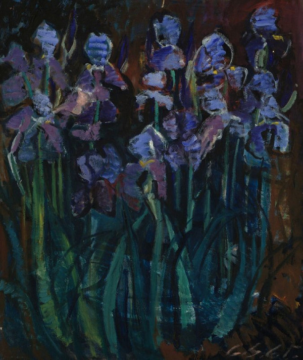 Gabriela Schillerová – Irises 