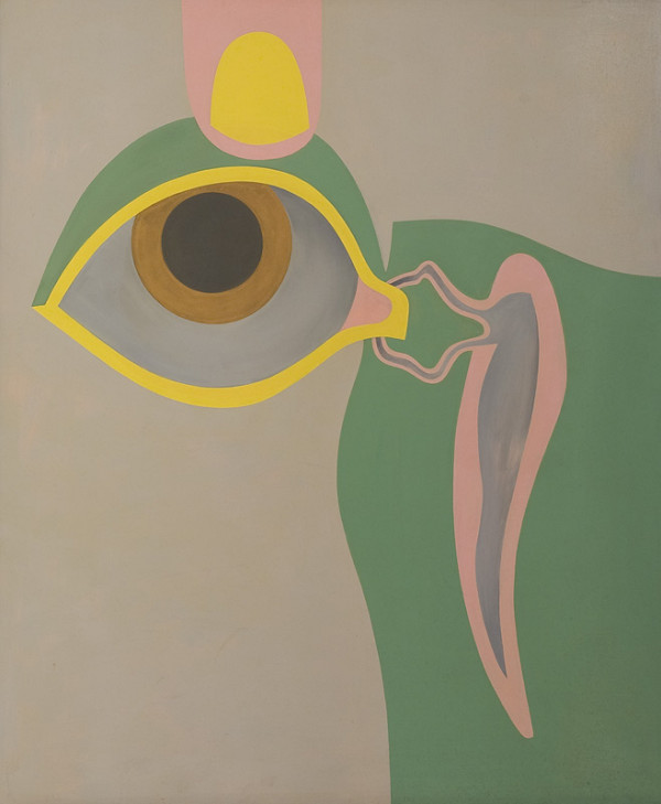 Štefan Bobota – Organum visus 