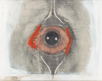 František Fegl – Eye I. Untitled 
