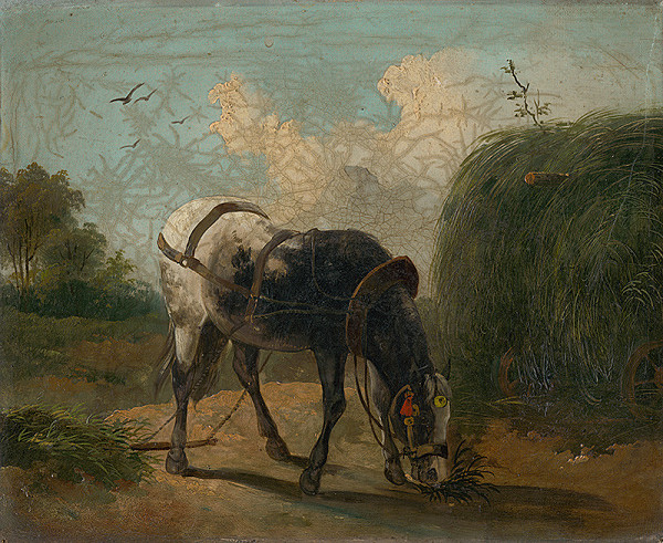 Stredoeurópsky maliar z 19. storočia – Kôň I. 