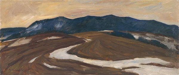 Martin Tvrdoň – Early Spring in the Fields 