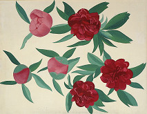 Oľga Bartošíková – Rozkvitajúce a rozkvitnuté pivonky 