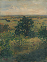 Štefan Polkoráb – Pohľad na Šúr 