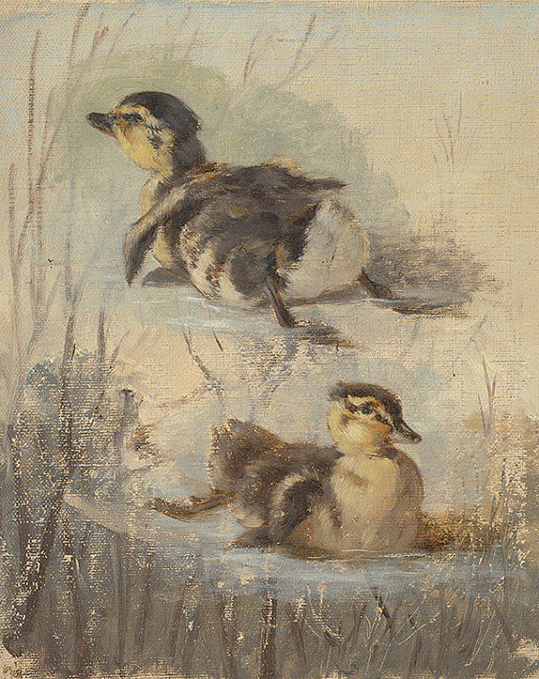 Friedrich Carl von Scheidlin – Study of Ducks on the Water II.  