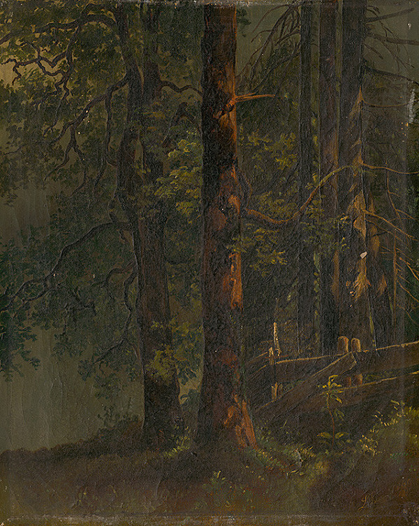 Stredoeurópsky maliar, Karol Ľudovít Libay – Interiér lesa 