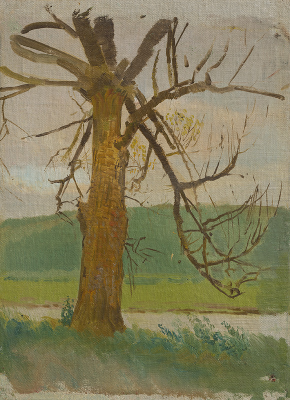 Ladislav Mednyánszky – Strom pri rieke 