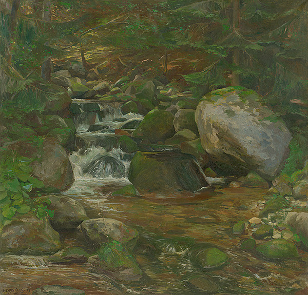 Bedrich Hoffstädter – Demänovský potok 