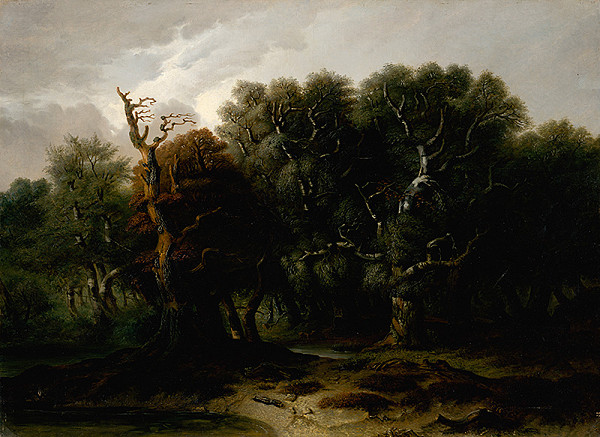 Zigmund Richter – Prales 