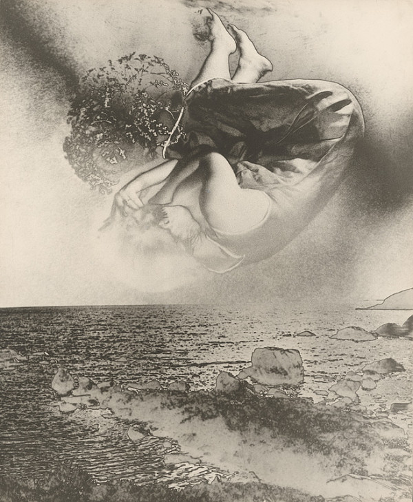 Milota Havránková – Premeny VIII. 