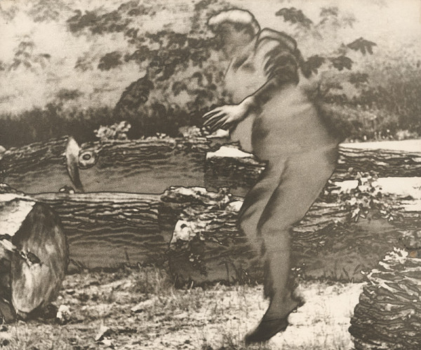 Milota Havránková – Premeny X.