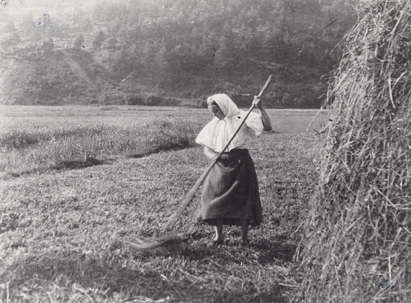 Irena Blühová – Na senách II. 