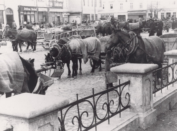 Irena Blühová – Konský jarmok 