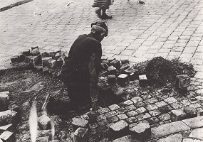 Irena Blühová – Dláždič 