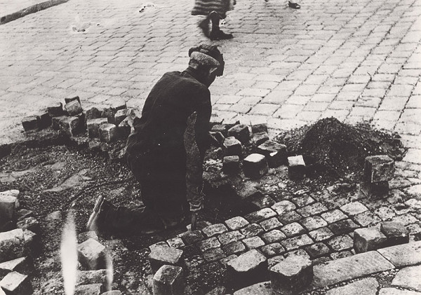 Irena Blühová – Dláždič 