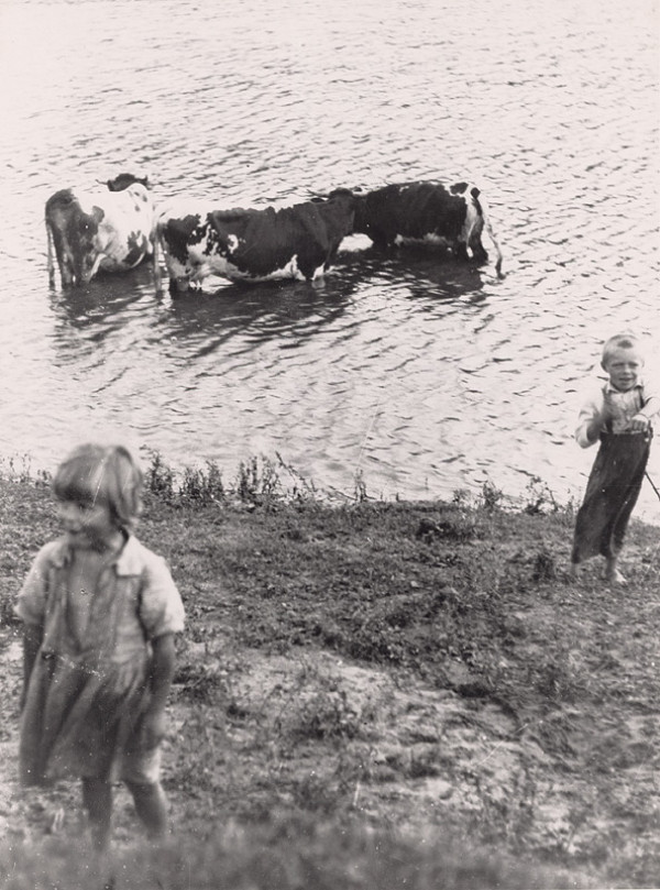 Irena Blühová – Pastierik kráv 