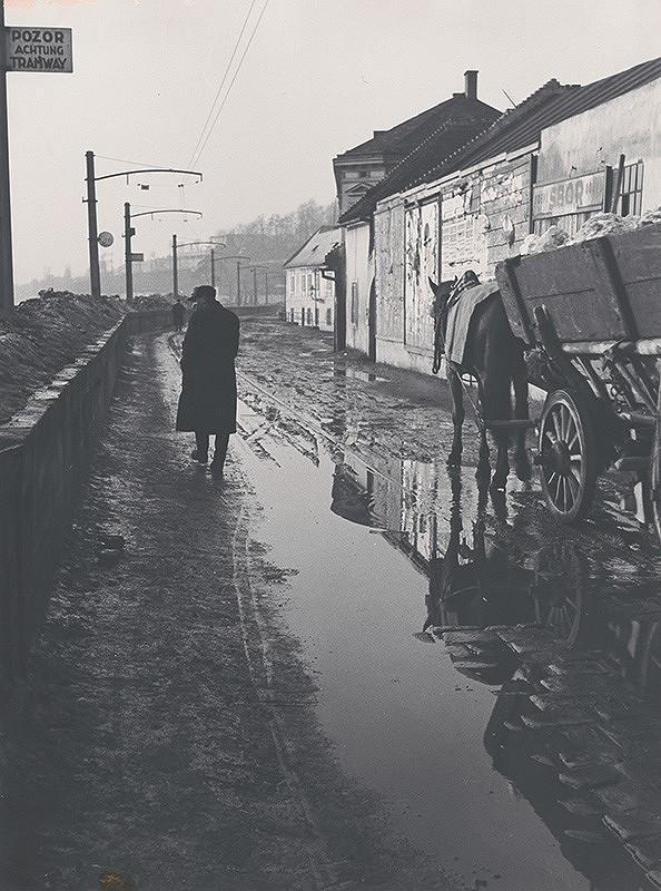 Štefan Tamáš – Dunajské nábrežie 