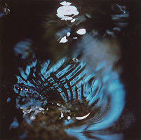 Martin Martinček – Chvála slnka VI. 