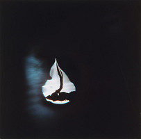 Martin Martinček – Chvála slnka VII. 