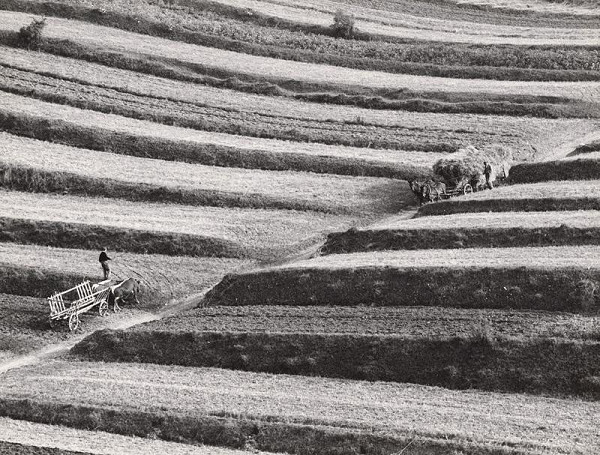 Martin Martinček – Liptovská krajina III. 