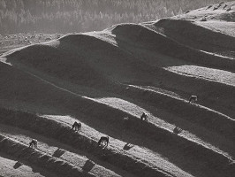 Martin Martinček – Liptovská krajina IV. 