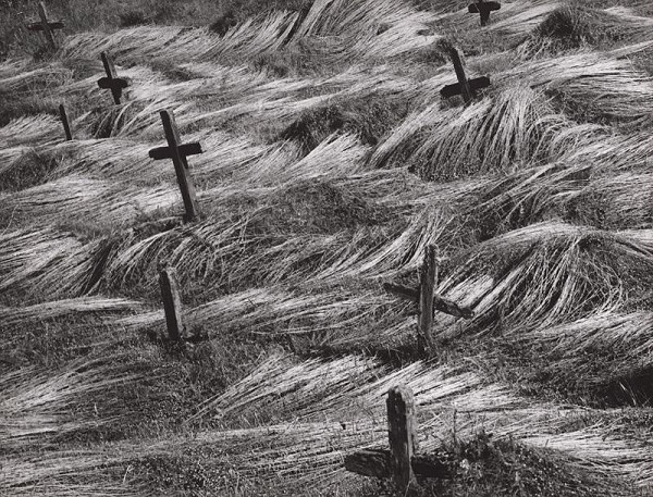 Martin Martinček – Liptovská krajina V. 