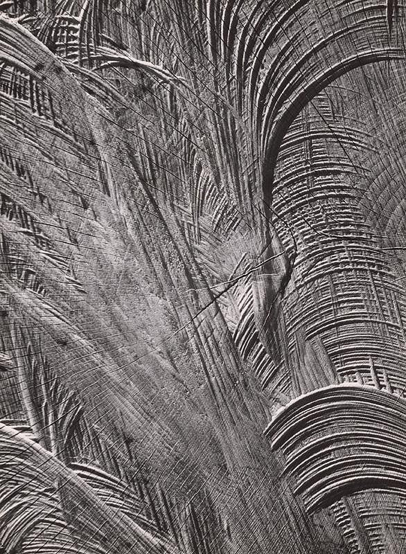 Martin Martinček – Nezbadaný svet I. Papyrus 