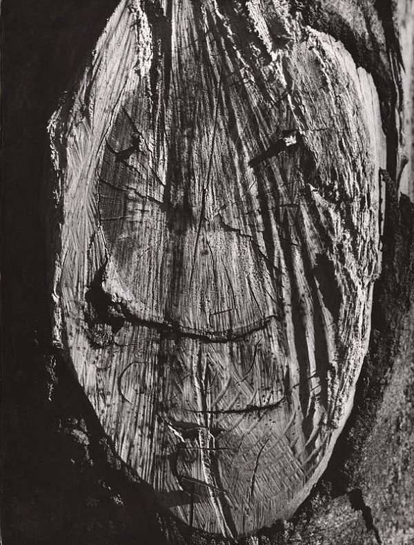 Martin Martinček – Nezbadaný svet IX. Klaun 